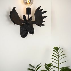 47209-01-30-sf2-1616009764.jpg