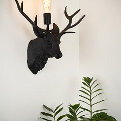 47210-01-30-sf2-1616009463.jpg