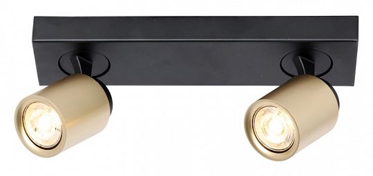 PL-1521-BG-1744209863.jpg